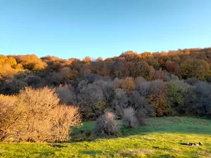 اداره کل دامپزشکی استان
