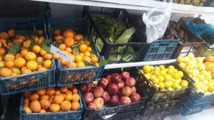سوپر میوه و تره بار سپنتا 3