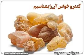 خواص جادویی کندر و بهترین روش مصرف آن – عطاری آنلاین سلامت مارکت | بزرگترین  عطاری اینترنتی کشور