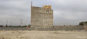 تک زالو