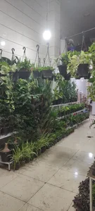 سرای گل طاها 2