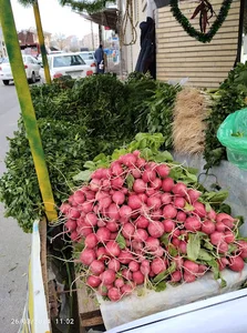 مروارید جزیره