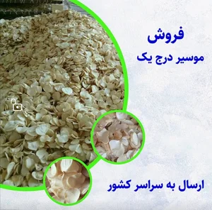 عطاری کوروش
