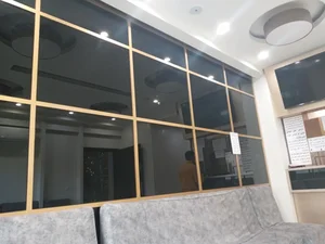 دکتر محمد تقی رئوف 3