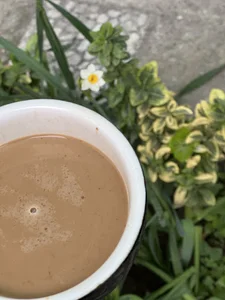 کافه رستوران ادرس