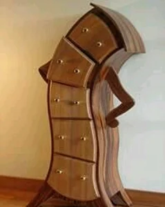 آدرین چوب