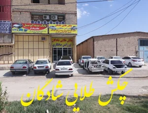 چکش طلایی شادگان