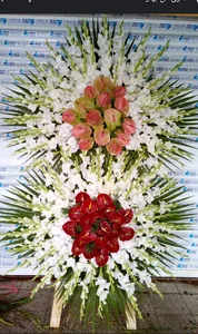 گلفروشی دشت گل