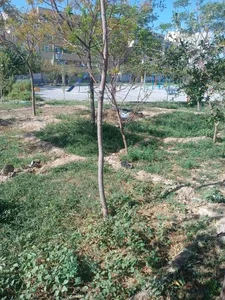 پارک شهرکی 2