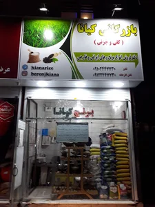 بازرگانی کیانا