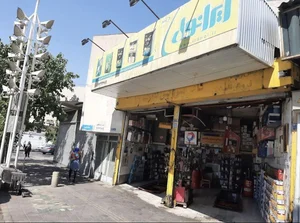 تاپ سرویس گلبرگ 2