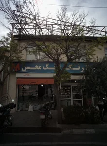سینا رنگ