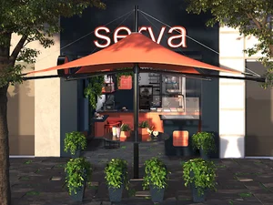 sirwa-(اقای وافل)