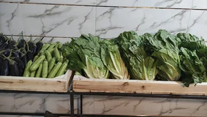 سوپر میوه نادرعلی