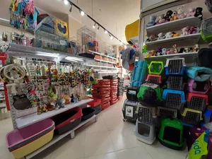 قلعه حیوانات