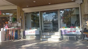 تولید و پخش کیف مدرن