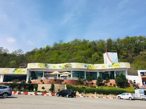 رستوران نارنجستان