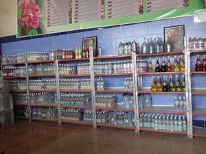 بهترین گلسرای قمصر (گلابگیری طبیعی)