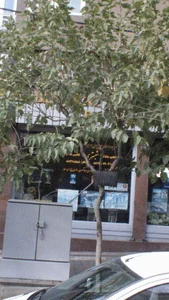 شرکت خدمات هواپیمایی و جهانگردی شبستری 2