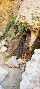 باغ فدک