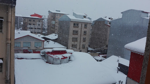 پارک میثم