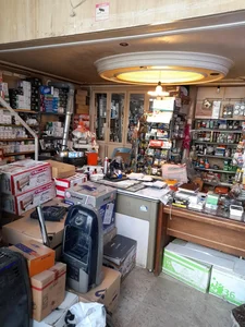 الکتریکی فاراد 2