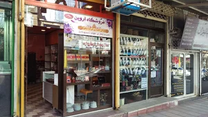 نمایندگی انحصاری محصولات سحرخیز