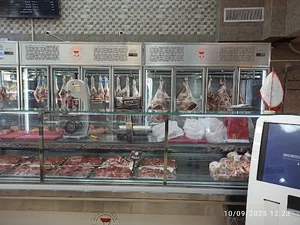 پروتئین روز به روز