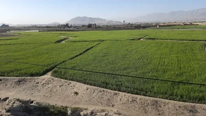 Yasin khan Home