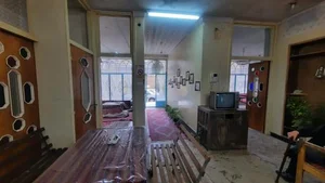 تله دیزی نارنجستان 2