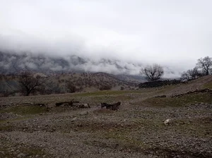عشایری دورک