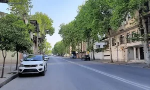 باشگاه ورزشی شاهین
