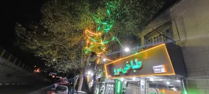 طباخی سرو 2