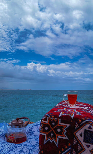 ساحل الخليج العربي