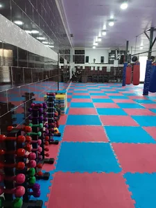 باشگاه رزمی گلادیاتور