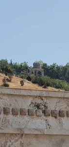 هتل چهار ستاره پروانه 4