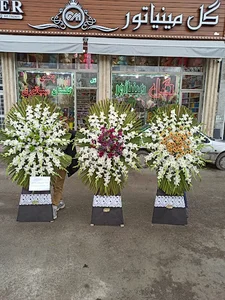 گل مینیاتور