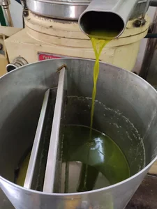 معصرة بيرين لزيت الزيتون