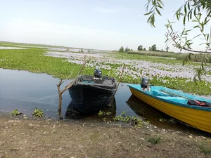 اسکله قایق سواری تالاب انزلی (سنگاچین)