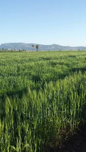 بیمارستان امام حسن مجتبی(ع) داراب