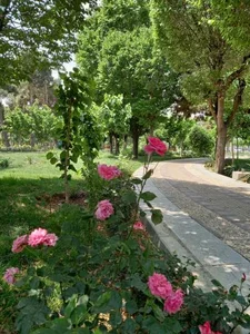پارک آزادگان 3