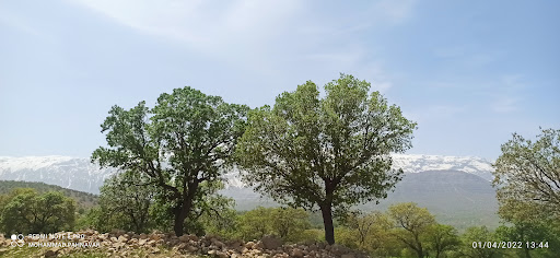 باغ مظفر دهقان