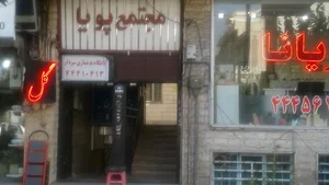 مجتمع پویا