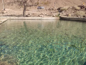 استخر لا