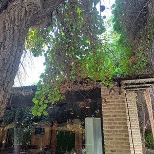 رستوران ساحلی سنتی 4