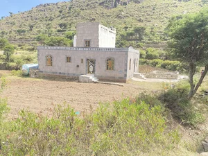 جامع الهدى قرية الصفاء وشير