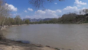 بوستان ناژوان