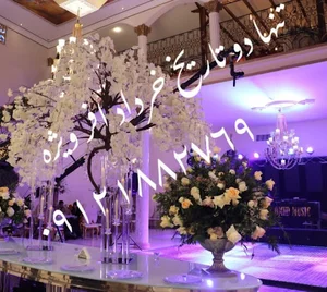 باغ تالارلوکس مهرشاد شرق