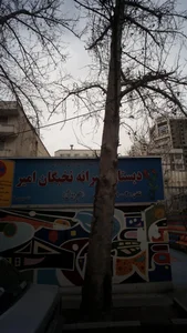 دبستان پسرانه نخبگان امیر کبیر 2