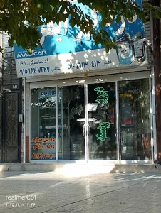 دزدگیر ایمن عباسی